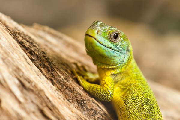 Naturstation "Lebendige Nahe"