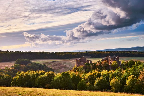 Blick auf die Burgruine Montfort